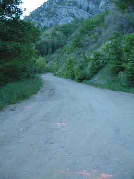 DSCF0356.JPG